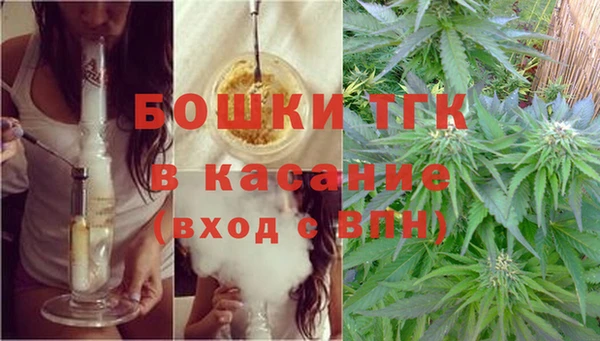 сатива Зеленодольск
