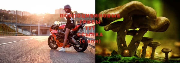 сатива Зеленодольск